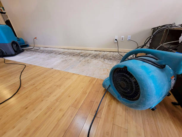Professional Structural Drying technician working in Telford, TN